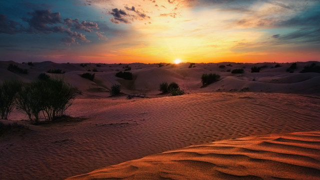 Sunset desert trees clouds horizon free wallpaper - medium preview image