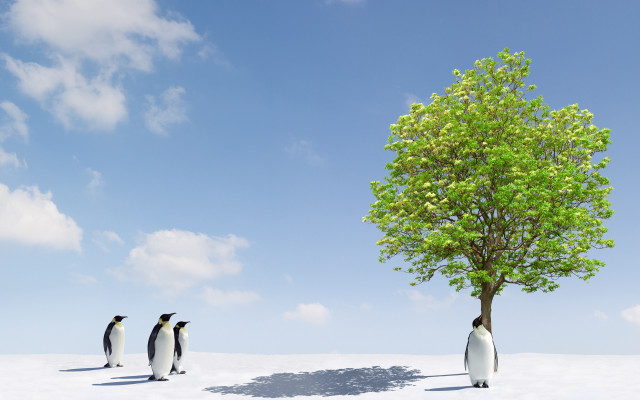 Penguins tree snow sky mountains free wallpaper - medium preview image