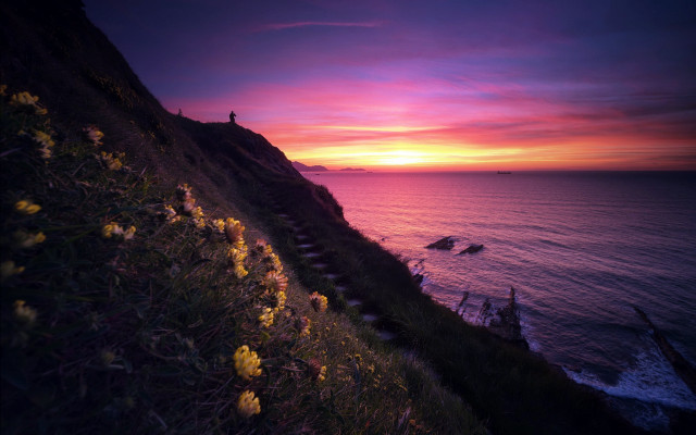 Cliff overlooking ocean sunset pink free wallpaper - medium preview image