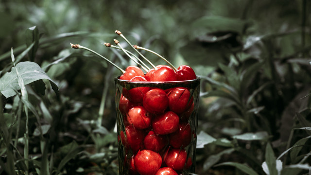 Cherry glass forest leaves still free wallpaper - medium preview image
