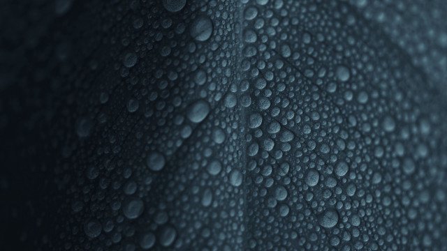 Water droplets blurry dark background free wallpaper - medium preview image