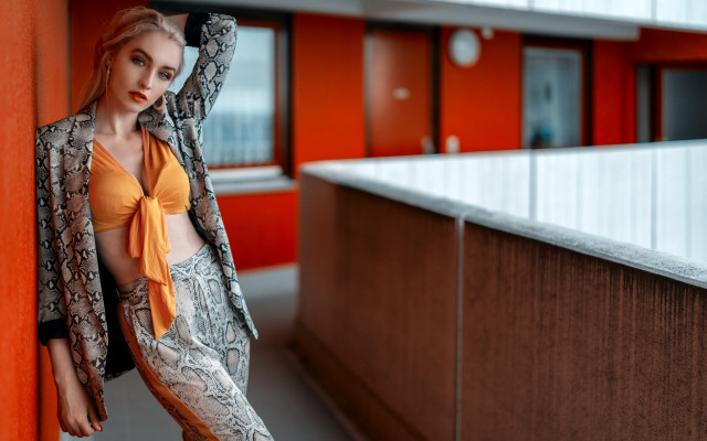 Yellow top snake skin jacket free wallpaper - medium preview image