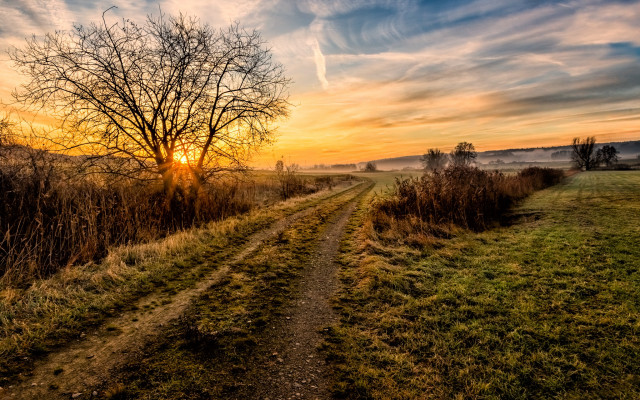 Dirt road tree sunset clouds free wallpaper - medium preview image