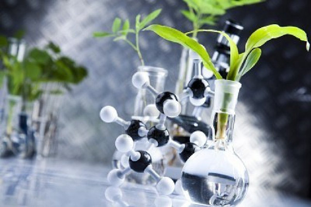 Glass vases plants water rocks free wallpaper for desktop - medium preview image