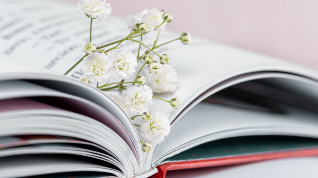 Flower book illustration red ribbon free wallpaper - medium preview image