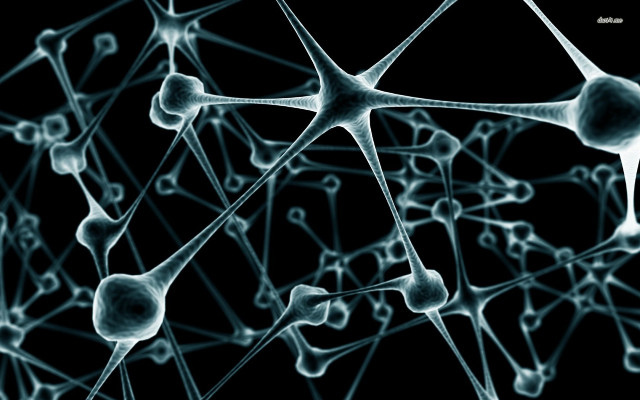 Network spheres lines black background free wallpaper - medium preview image