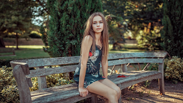 Elina karimova park bench nature free wallpaper - medium preview image