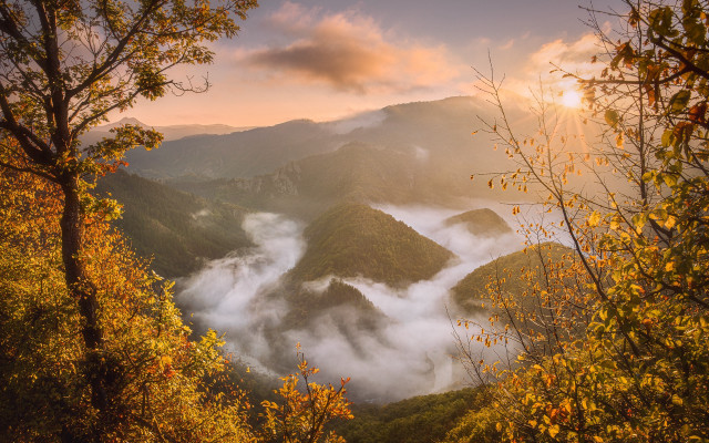 Mountain range clouds autumn leaves free wallpaper - medium preview image