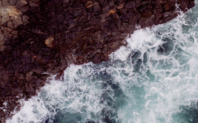Bird water rocks beach pokemon free wallpaper - medium preview image