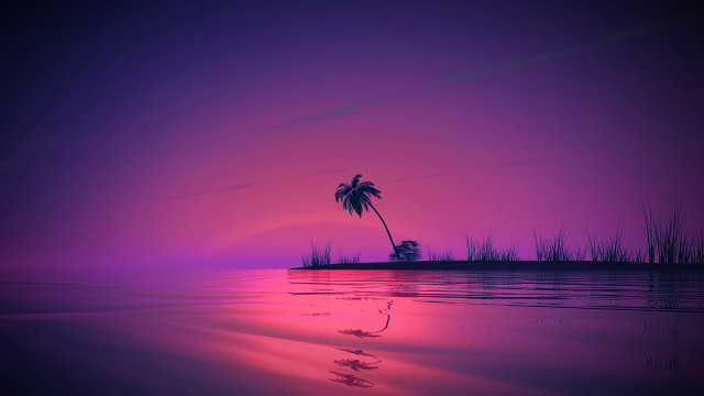 Palm tree sunset purple water free wallpaper - medium preview image
