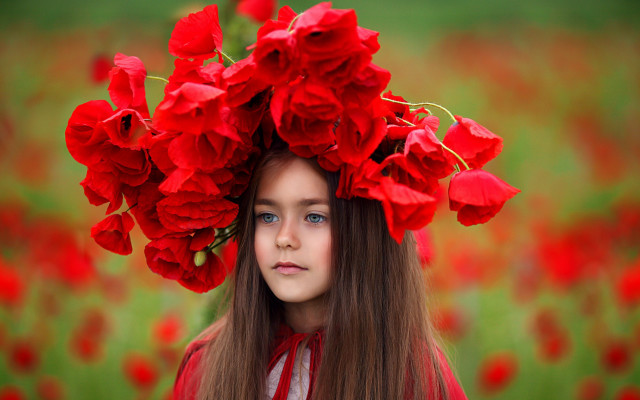 Girl redflower crown field flowers free wallpaper - medium preview image