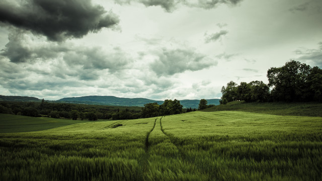 Stormy mountain field path cloudy free wallpaper - medium preview image