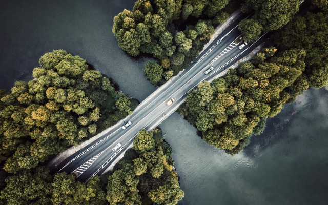 River bridge forest nature water free wallpaper - medium preview image