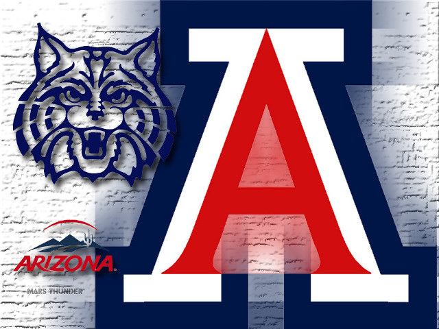 Tiger letter a brick wall free wallpaper - medium preview image