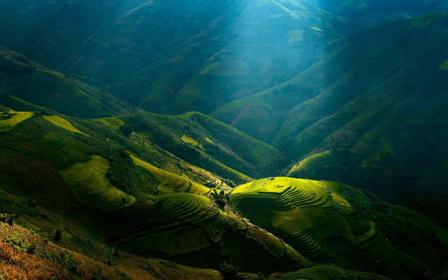 Valley sunbeam bird tiltshift lightrays free wallpaper - medium preview image