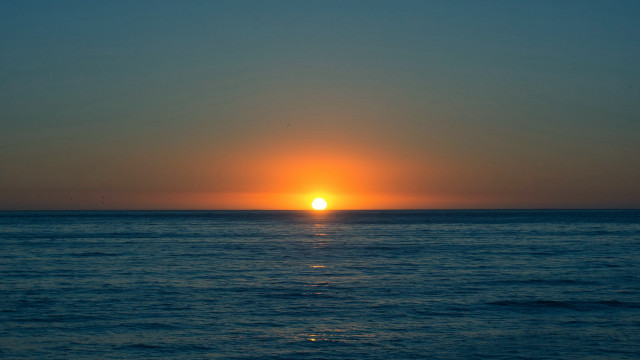 Sunset ocean boat bird moon #4 free wallpaper - medium preview image