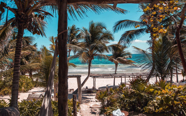 Beach palm trees pier blue #2 free wallpaper - medium preview image