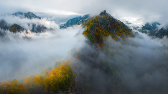 Mountain fog clouds trees misty free wallpaper - medium preview image