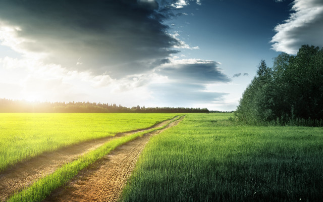 Dirt road field sky trees #2 free wallpaper - medium preview image