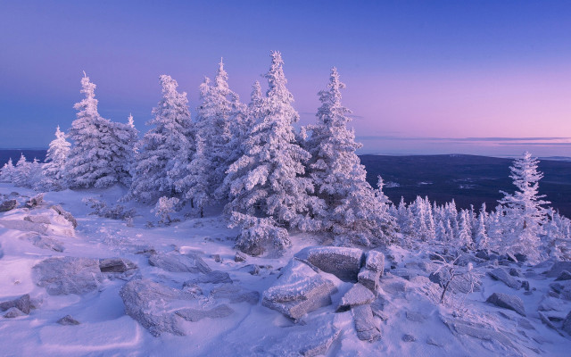 Snowy mountain forest lake sky free wallpaper - medium preview image