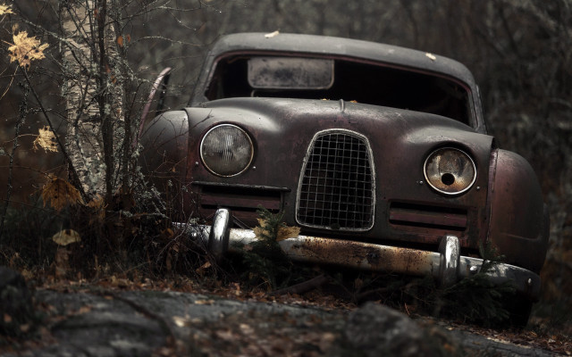Old car woods rusty hood free wallpaper - medium preview image
