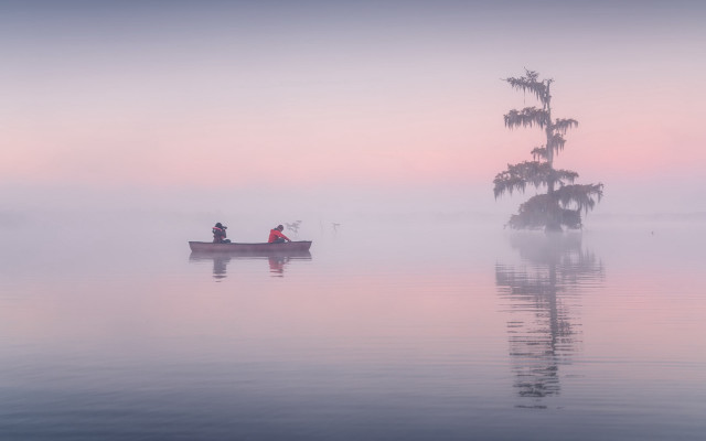 Lake foggy boat trees art free wallpaper - medium preview image