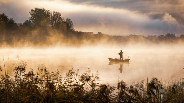 Lake fog boat man forest free wallpaper - medium preview image