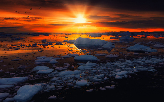 Sunset water ice birds city free wallpaper - medium preview image