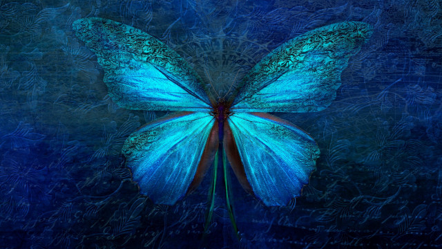 Blue butterfly hologram nature forest free wallpaper - medium preview image