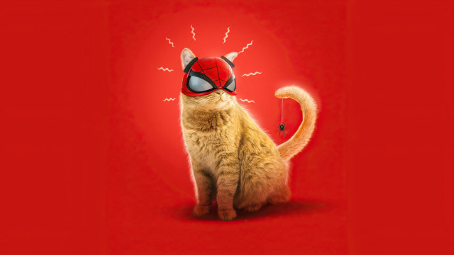 Cat spidermask stick lightning torii free wallpaper - medium preview image