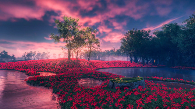 Sunset lake field bench flowers free wallpaper - medium preview image