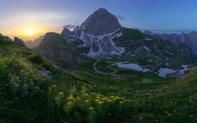 Mountain range grassy field flowers free wallpaper - medium preview image