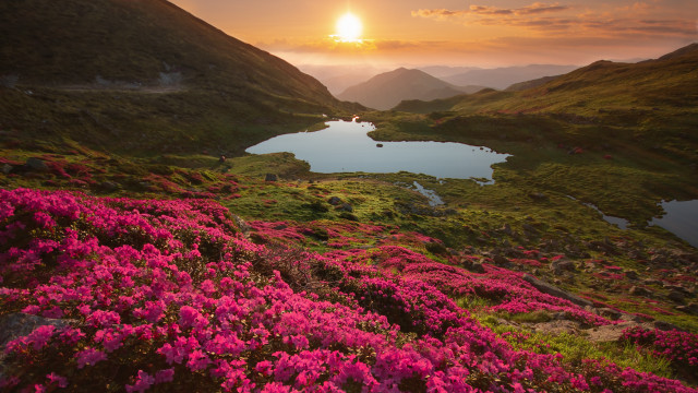 Sunset mountain lake cherry blossoms free wallpaper - medium preview image