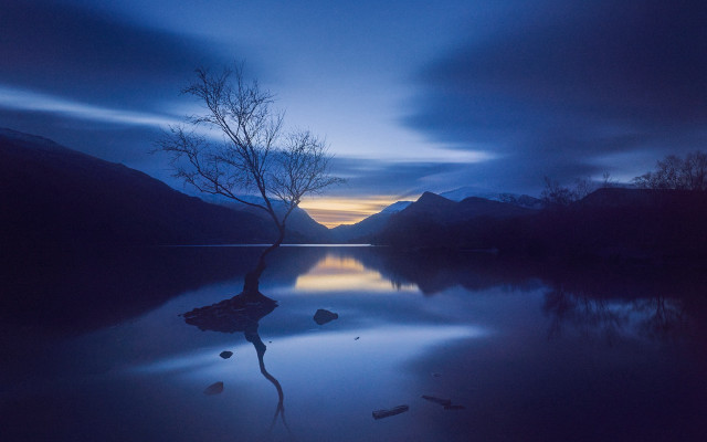 Lake night tree mountains moon free wallpaper - medium preview image