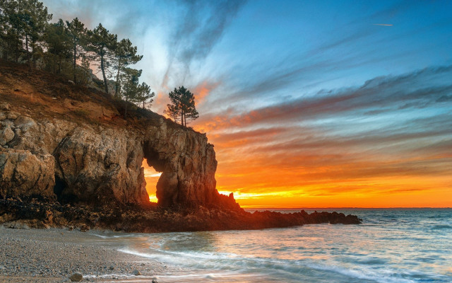 Rocky cliff tree sunset ocean free wallpaper - medium preview image