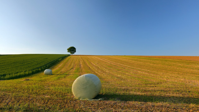 Field balls tree land art free wallpaper - medium preview image