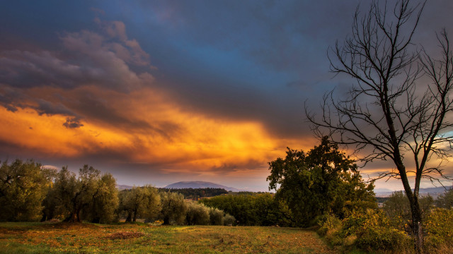 Mystical autumn field trees cloudy free wallpaper - medium preview image