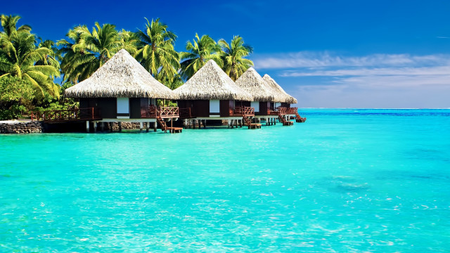 Beach huts ocean palm trees free wallpaper - medium preview image