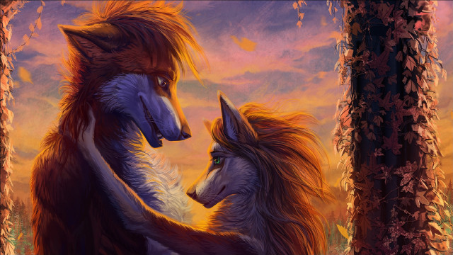 Foxes forest sunset warm colors free wallpaper - medium preview image