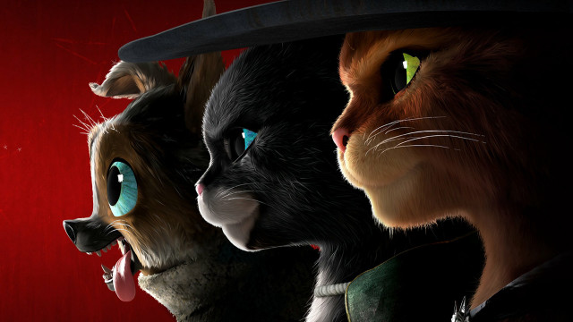 Cats group red background hat free wallpaper - medium preview image