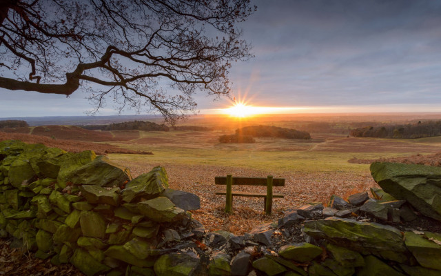 Sunset forest lake bench tree free wallpaper - medium preview image