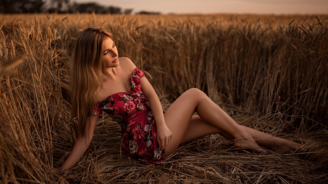 Woman red dress wheat field #2 free wallpaper - medium preview image