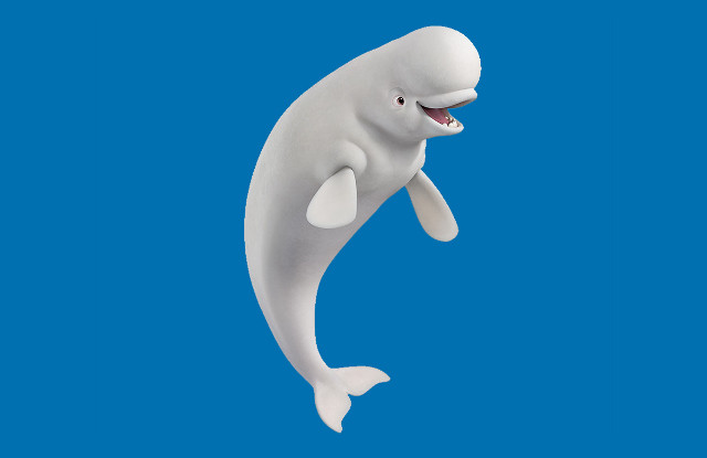 White dolphin smiling jumping air free wallpaper - medium preview image