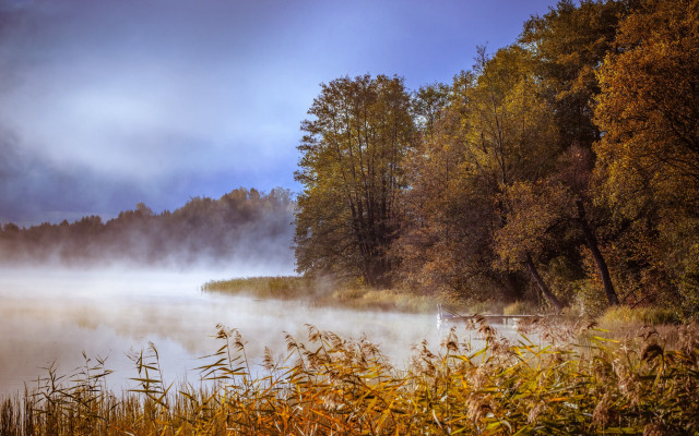 Lake fog misty autumn forest free wallpaper - medium preview image