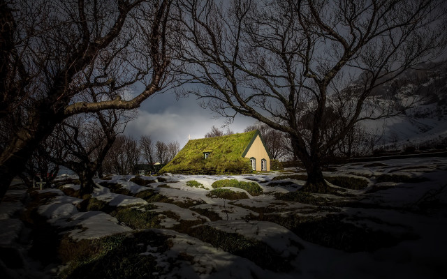 House green roof trees snow free wallpaper - medium preview image