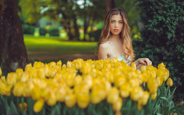 Woman flower field impressionist portrait free wallpaper - medium preview image