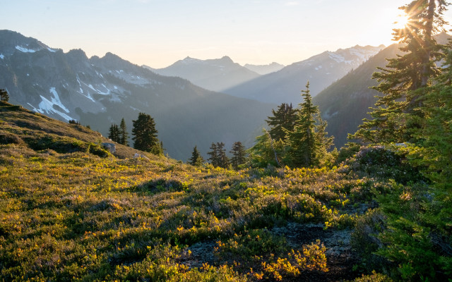 Sunset mountains grassy field trees free wallpaper - medium preview image