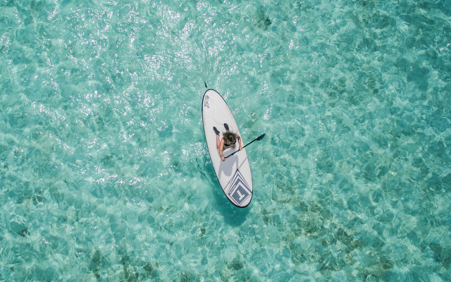 Paddle boarder ocean sunny day free wallpaper - medium preview image