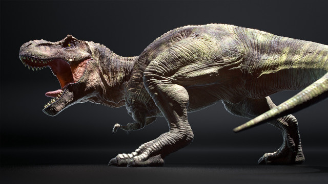 Tyrannosaurus open mouth photorealistic claws free wallpaper - medium preview image