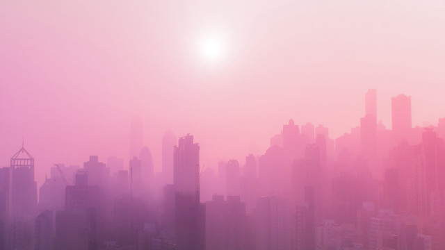 Hazy city skyline bird sunset free wallpaper - medium preview image